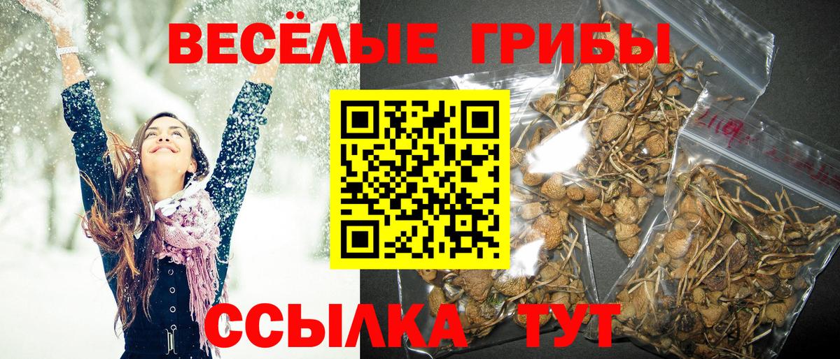 Псилоцибиновые грибы мицелий  Галлюциногенные грибы ЛСД  Сатка  Вход с VPN 