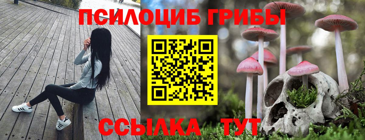 Галлюциногенные грибы Cubensis Сатка